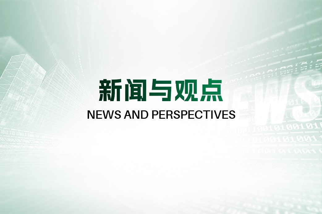 新闻与观点